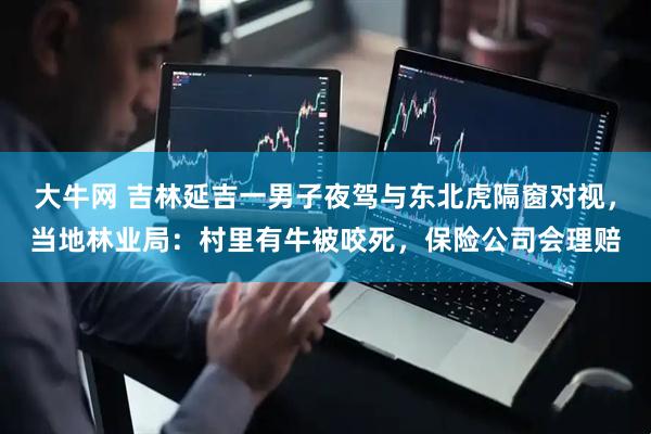 大牛网 吉林延吉一男子夜驾与东北虎隔窗对视，当地林业局：村里有牛被咬死，保险公司会理赔