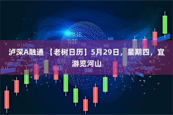 泸深A融通 【老树日历】5月29日，星期四，宜游览河山
