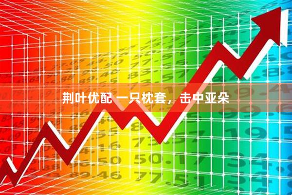 荆叶优配 一只枕套，击中亚朵