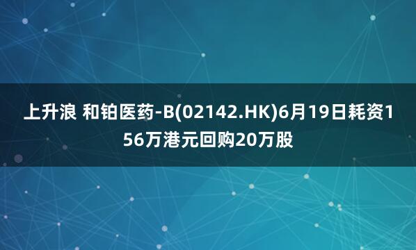 上升浪 和铂医药-B(02142.HK)6月19日耗资156万港元回购20万股