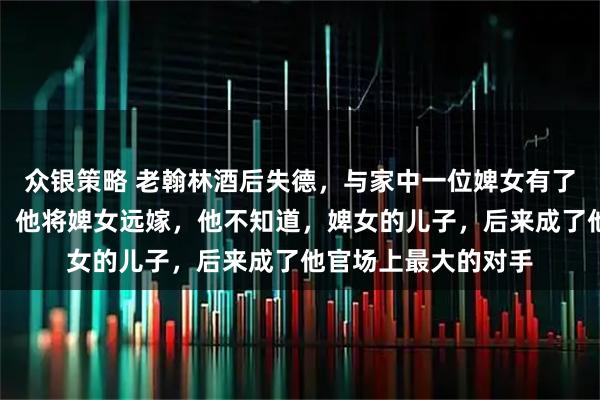 众银策略 老翰林酒后失德，与家中一位婢女有了私情，为掩盖丑闻，他将婢女远嫁，他不知道，婢女的儿子，后来成了他官场上最大的对手